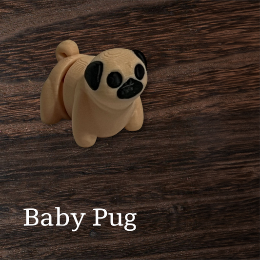 Baby pug