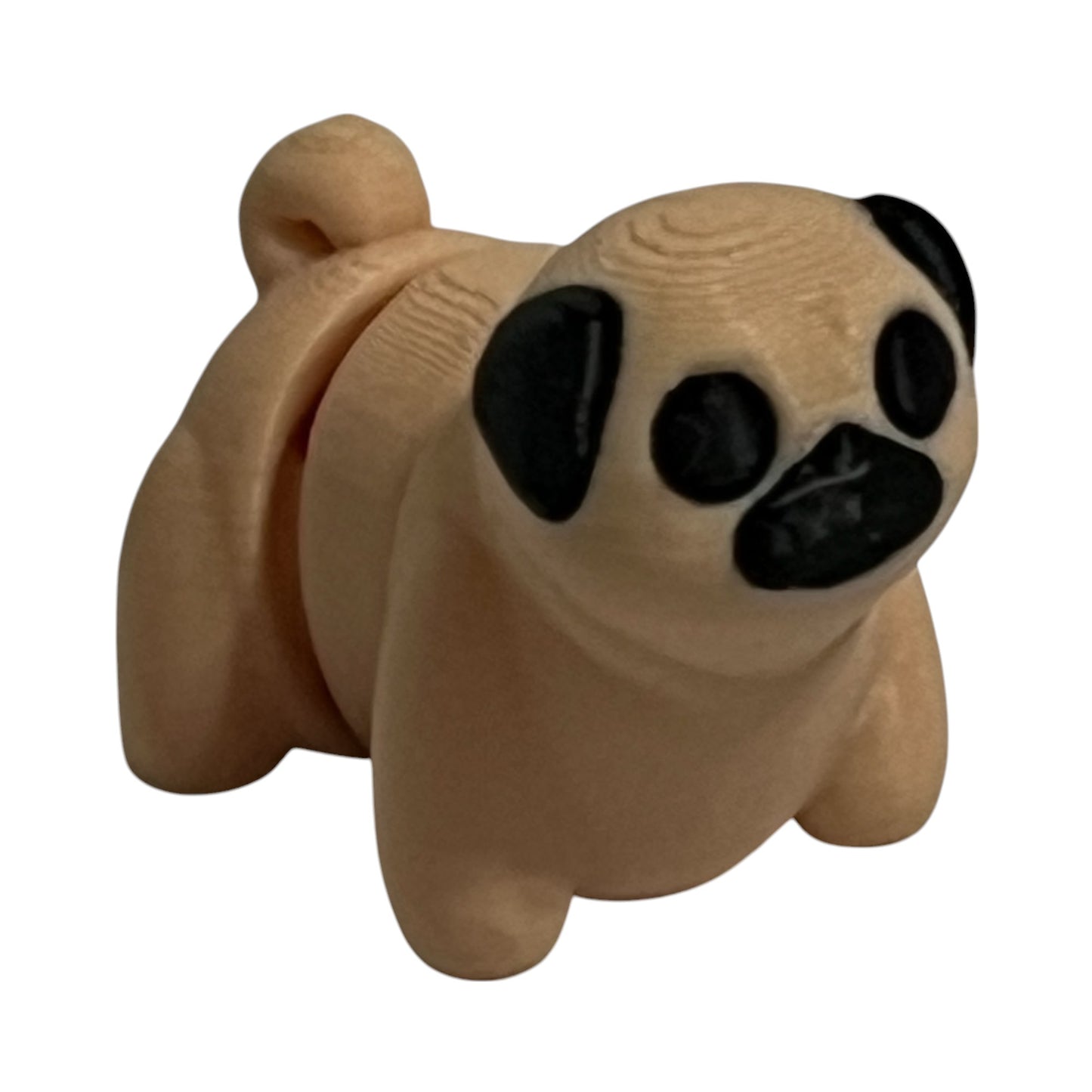 Baby pug