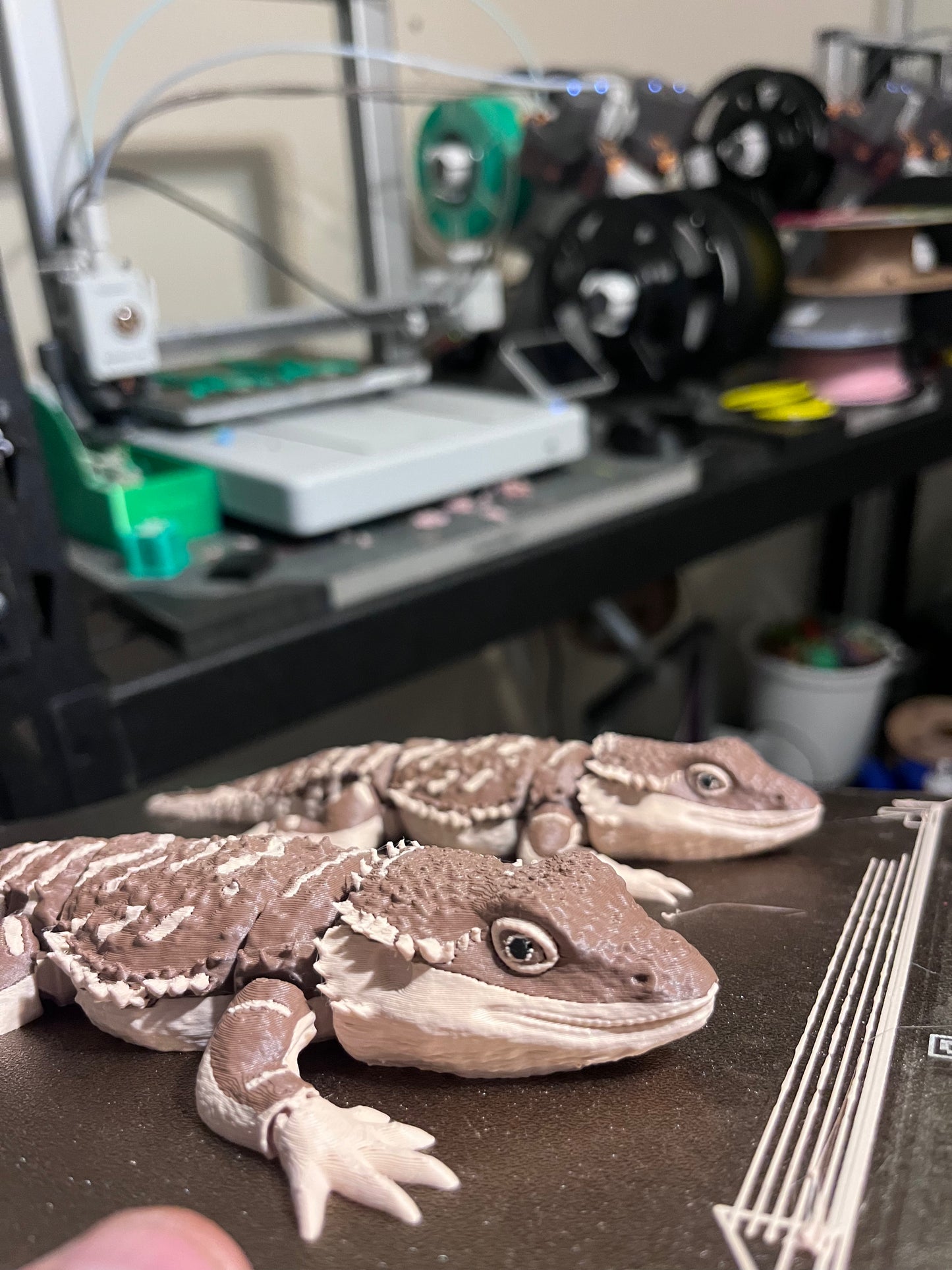 Bearded Dragon Articulated