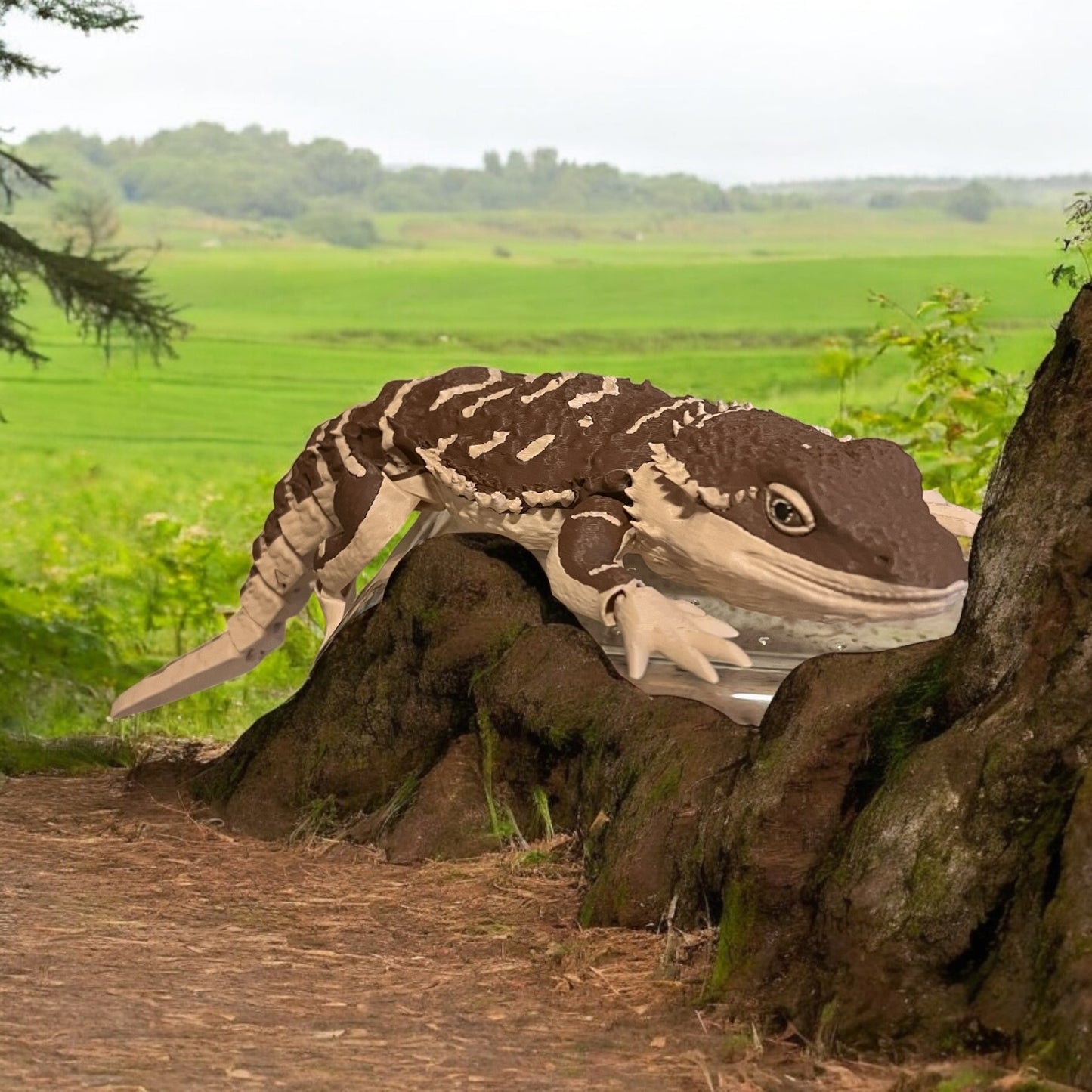 Bearded Dragon Articulated