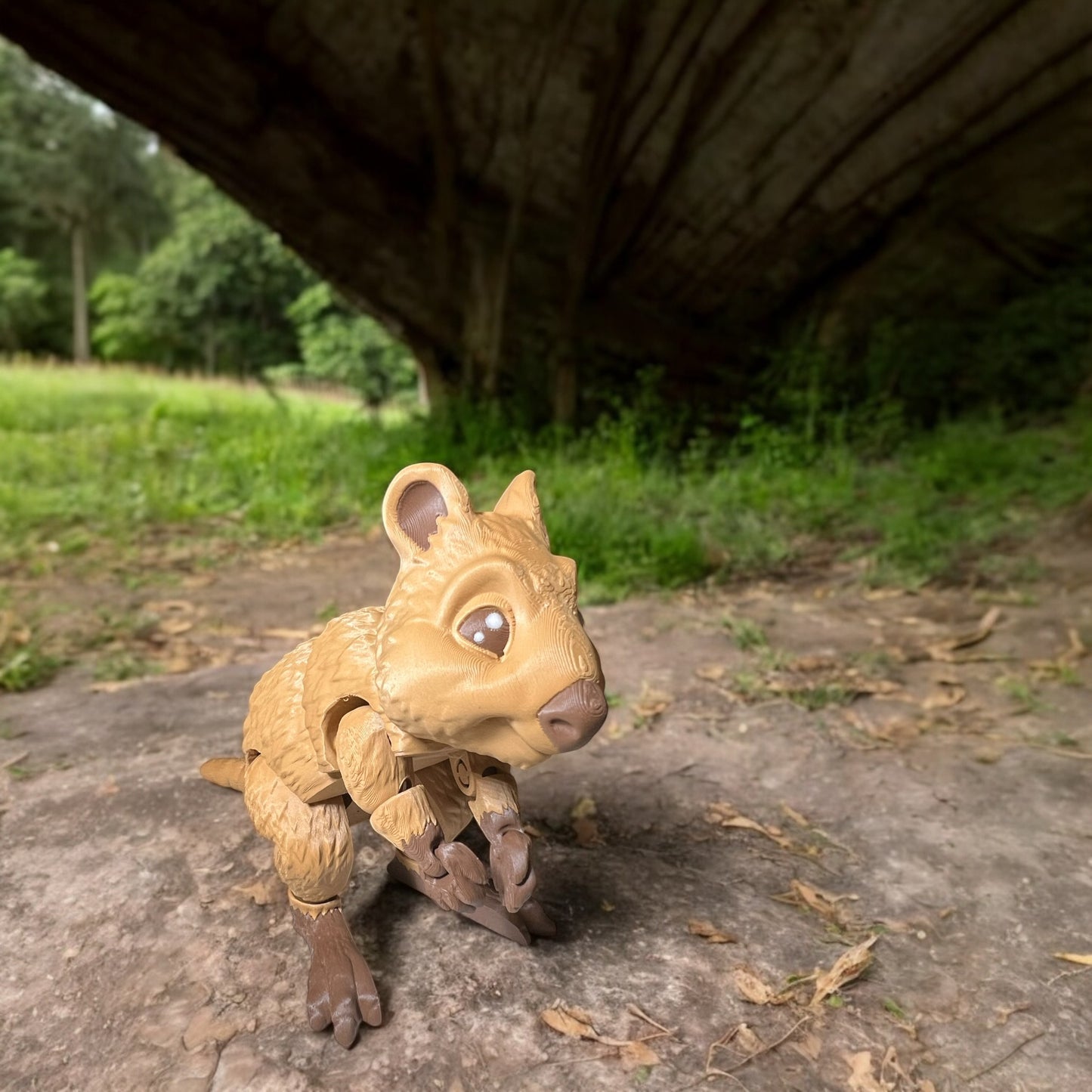 Quokka, Australia’s Happiest Marsupial