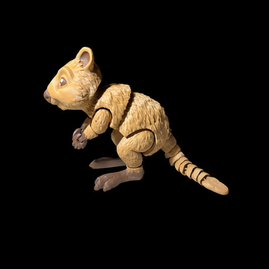 Quokka, Australia’s Happiest Marsupial