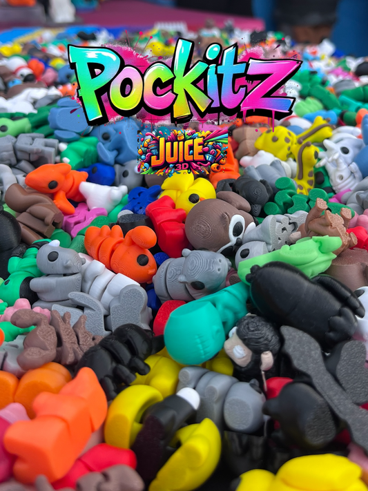 Pocket Fidgets - 10 Pack