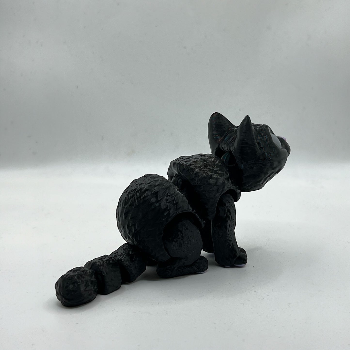 MMM Cat Medium