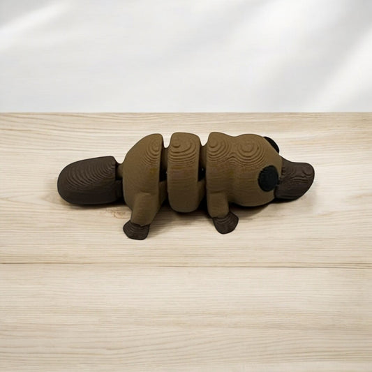 Baby Platypus