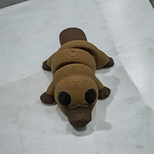 Baby Platypus